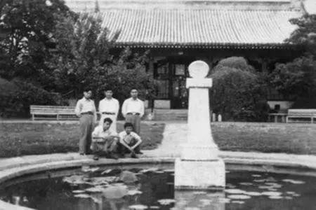 图片8.png