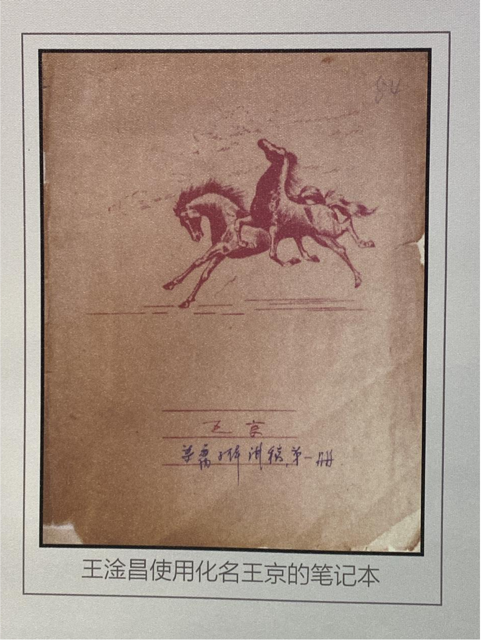 图片4