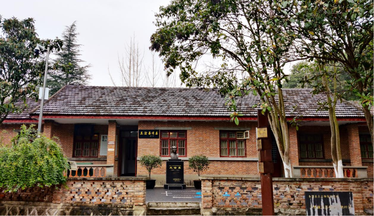 图片6